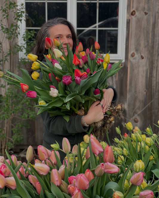 Cherish Every Spring