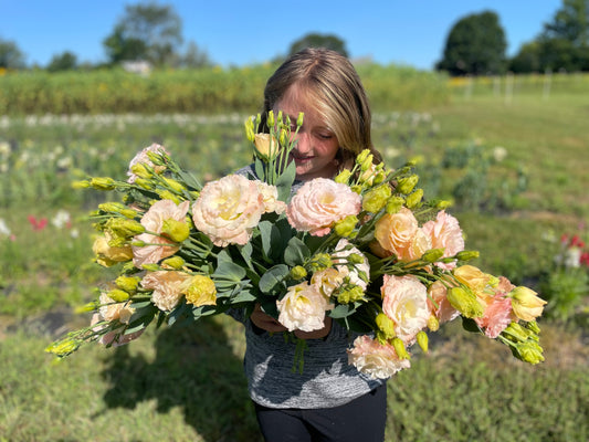 Lisianthus Champagne