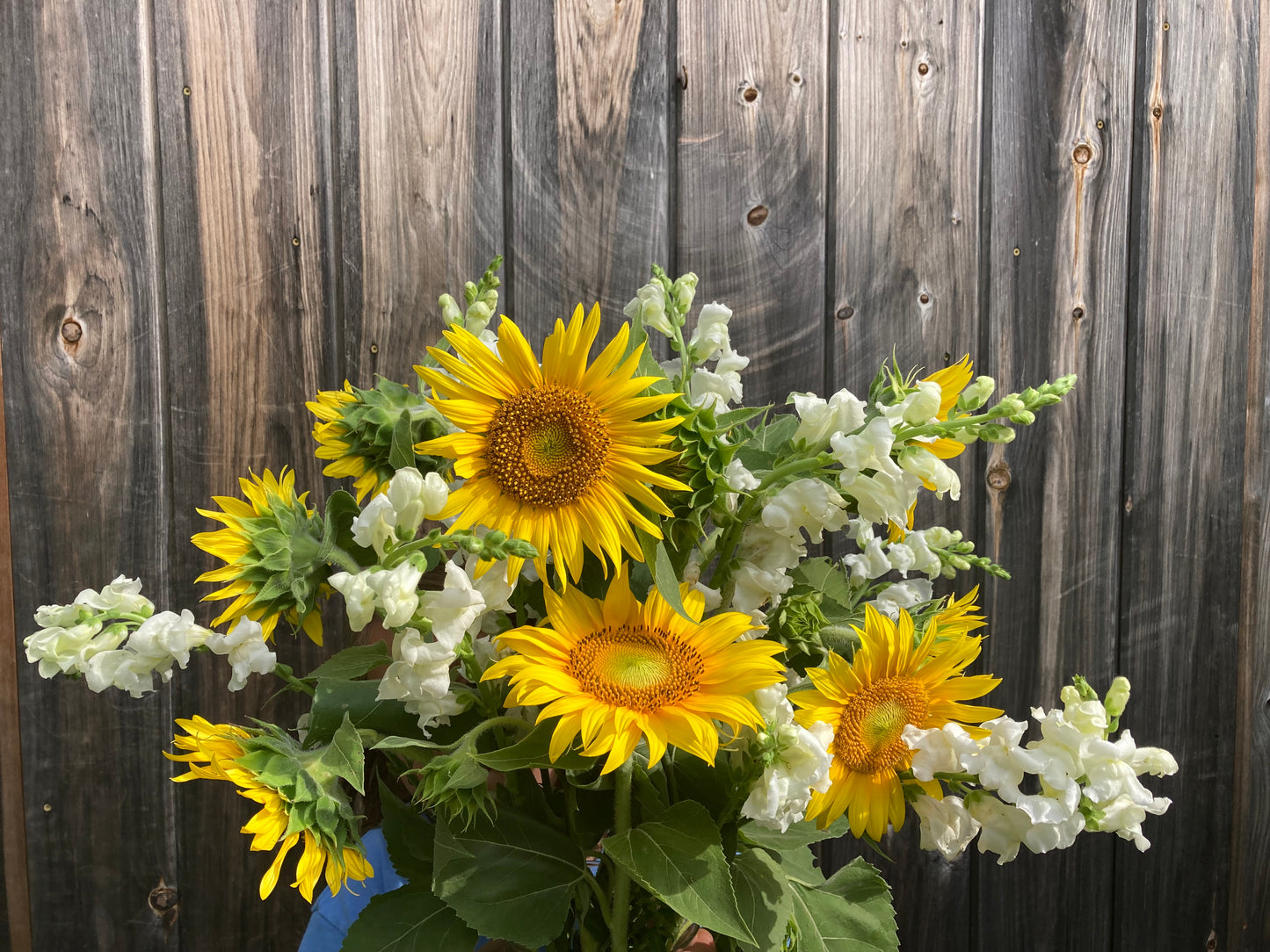 Autumn & Summer Blooms Bouquet