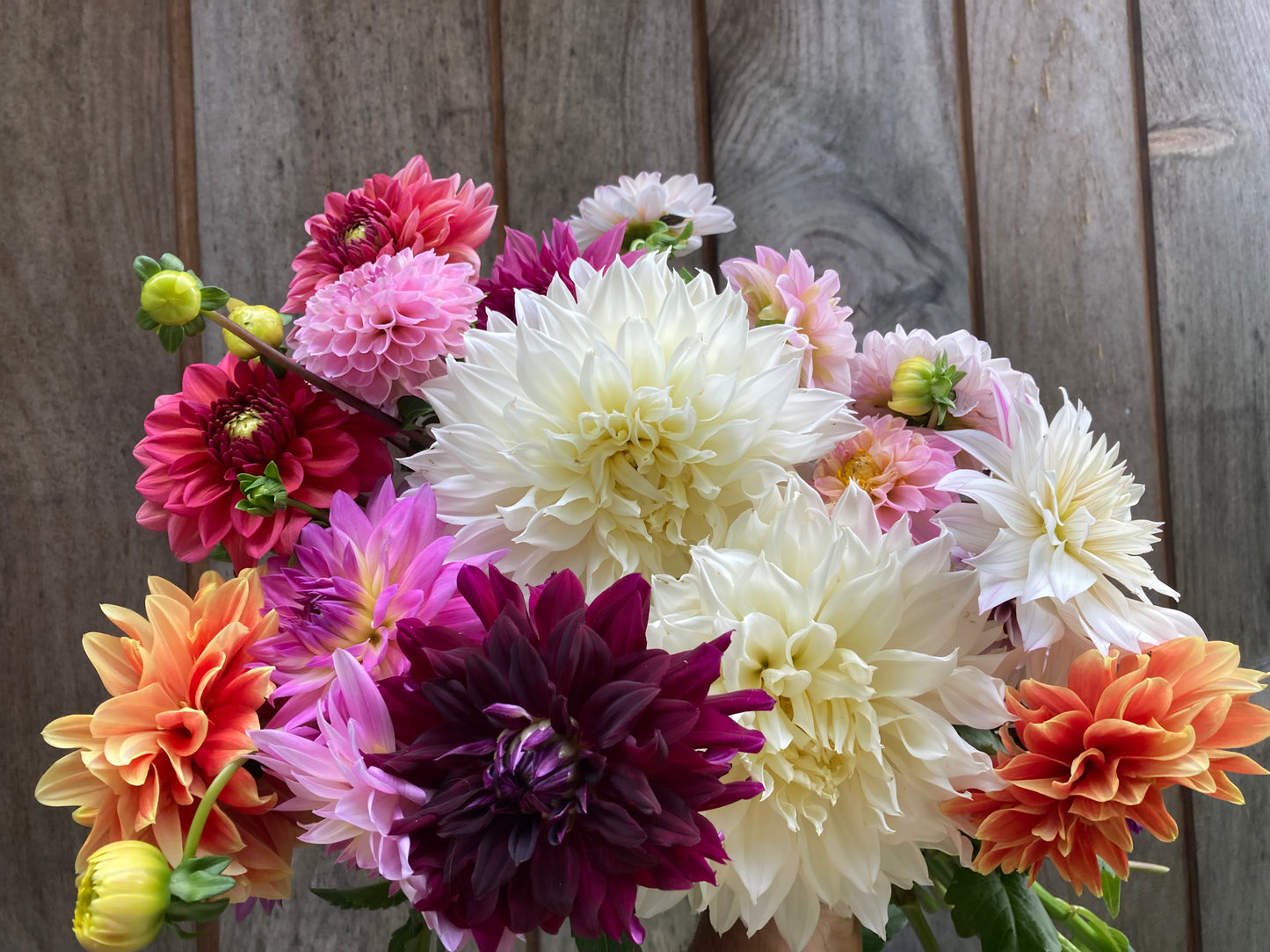 Flower Subscriptions - Shipped