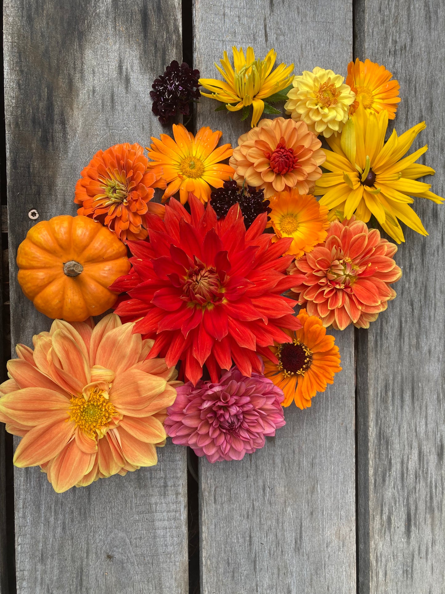 Flower Subscriptions - Shipped