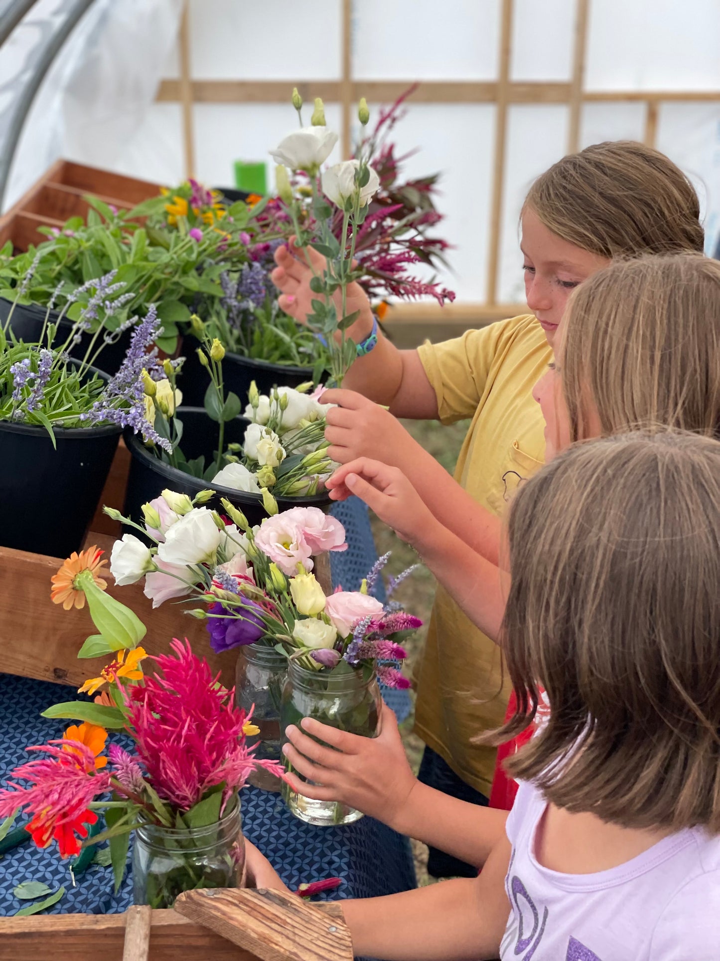 BYOBB - Build Your Own Bundle of Blooms