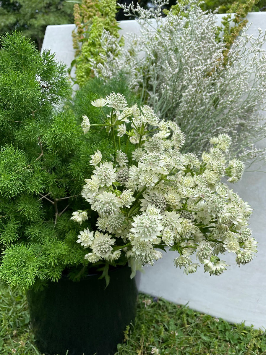 BYOBB - Build Your Own Bundle of Blooms