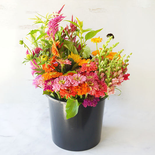 BYOBB - Build Your Own Bundle of Blooms