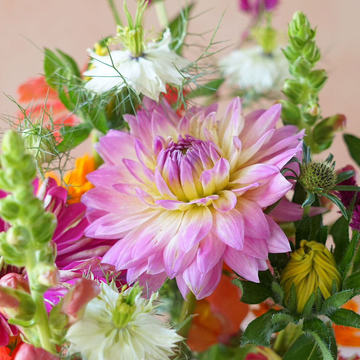 BYOBB - Build Your Own Bundle of Blooms