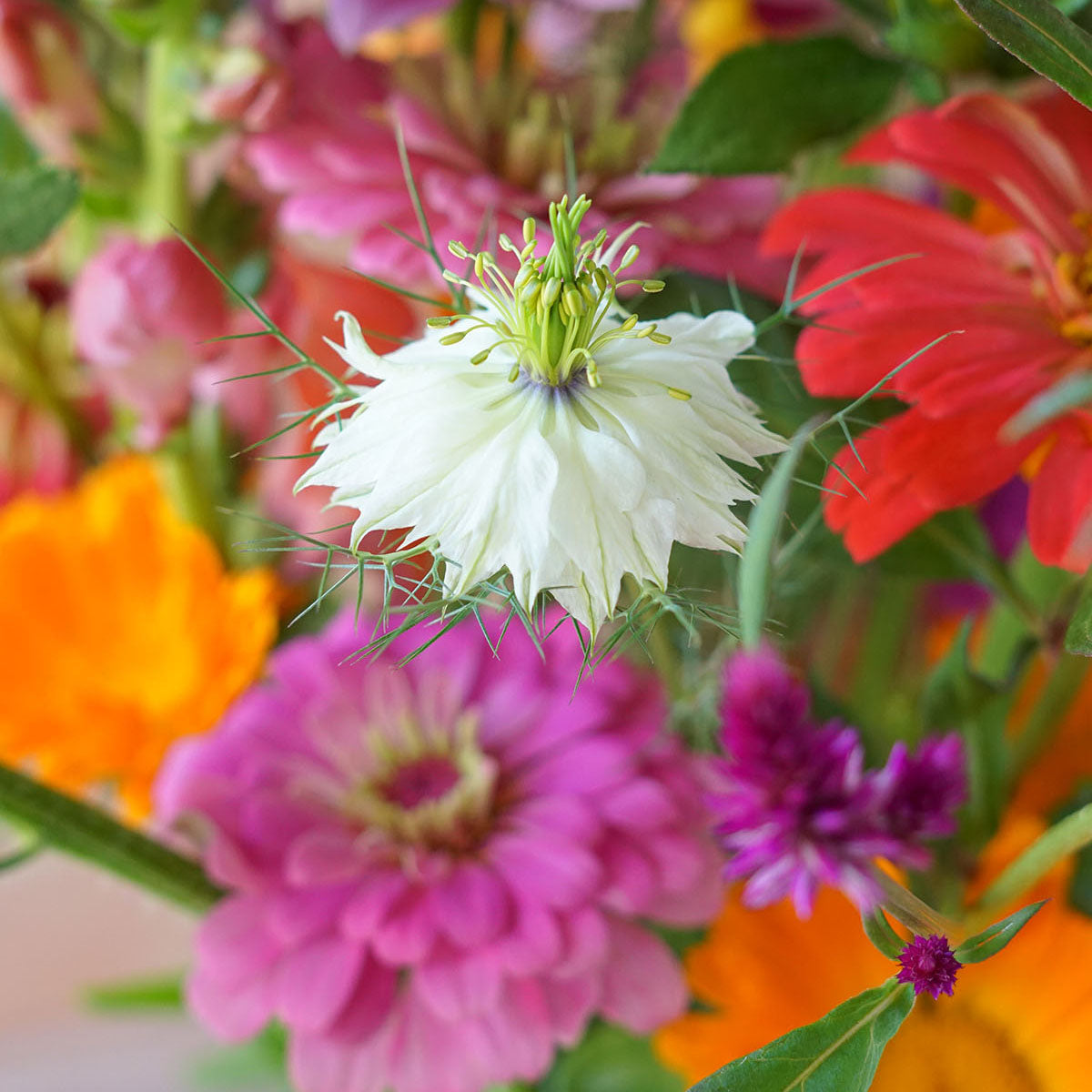 BYOBB - Build Your Own Bundle of Blooms