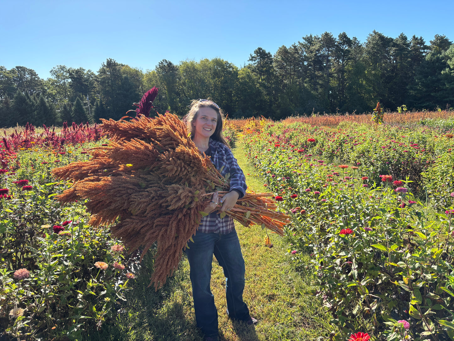 2026 Pick Your Own Bouquet