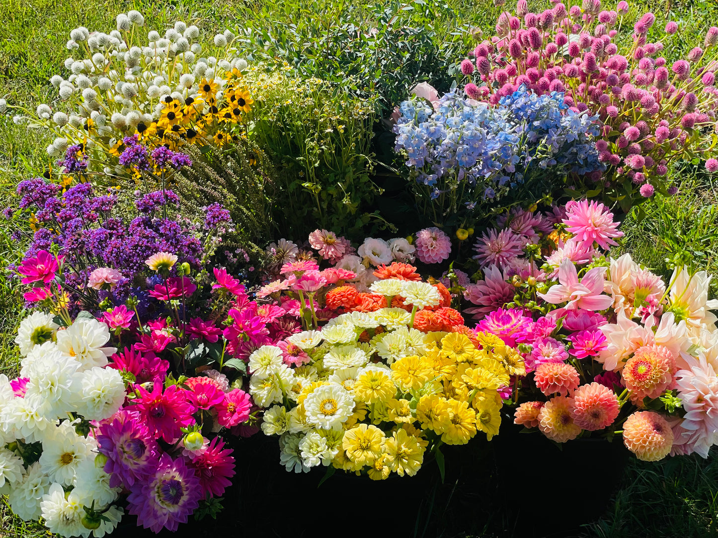 BYOBB - Build Your Own Bundle of Blooms