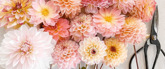 2026 Mother's Day Floral Workshop: Bloom Together!