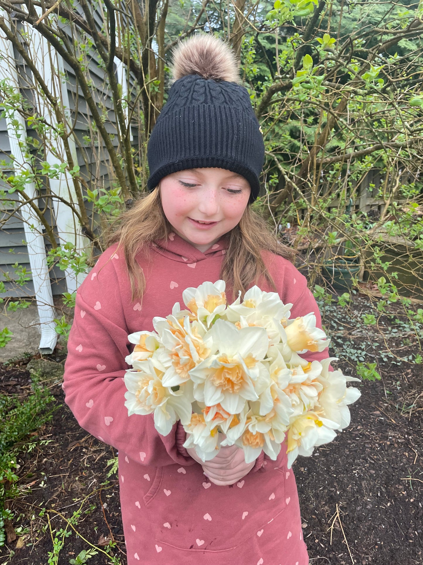 Daffodil White Double Rosette